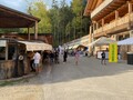 20231009-piknik 5